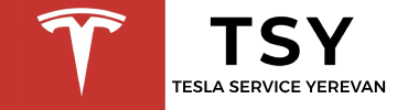 tSY logo